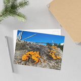 "Tremella Skies" on Fine Art Postcard