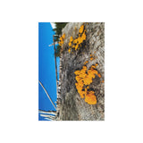 "Tremella Skies" on Fine Art Postcard