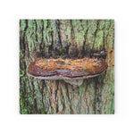 "Ganoderma the Great" on Wood Canvas