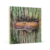 "Ganoderma the Great" on Wood Canvas