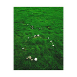 "Fairy Rings on Green" on Premium Matte Poster