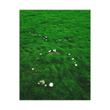 "Fairy Rings on Green" on Premium Matte Poster